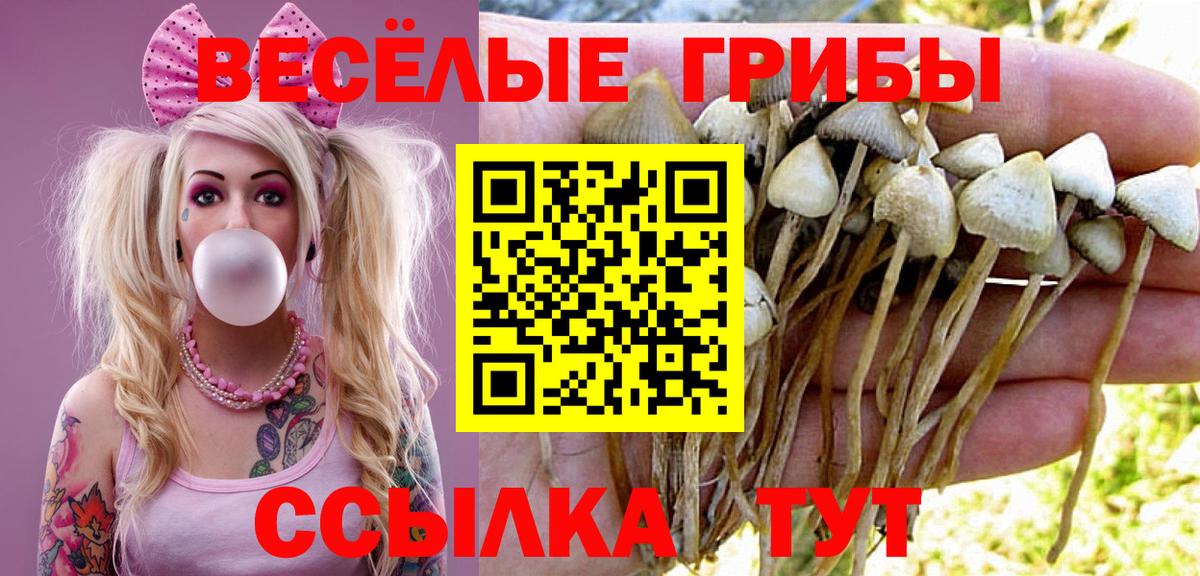Псилоцибиновые грибы прущие грибы Каспийск